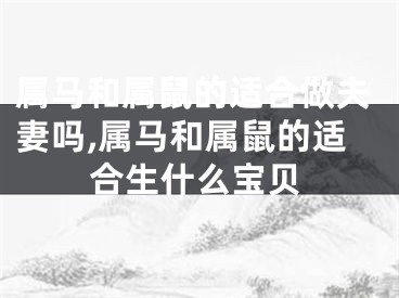 属马和属鼠的适合做夫妻吗,属马和属鼠的适合生什么宝贝