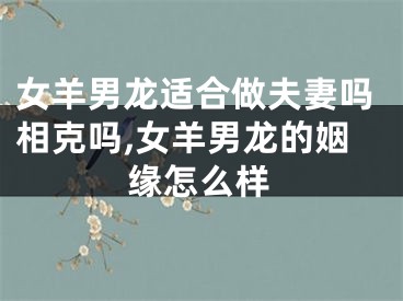女羊男龙适合做夫妻吗相克吗,女羊男龙的姻缘怎么样