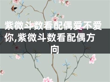 紫微斗数看配偶爱不爱你,紫微斗数看配偶方向