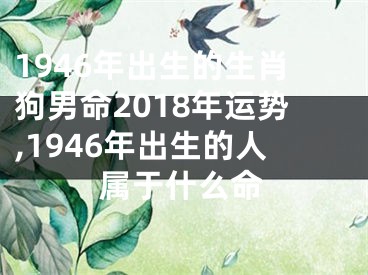1946年出生的生肖狗男命2018年运势,1946年出生的人属于什么命