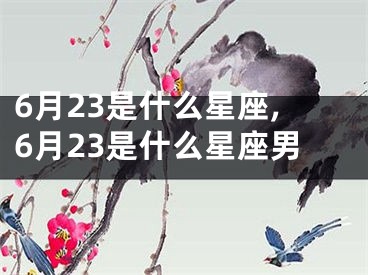 6月23是什么星座,6月23是什么星座男