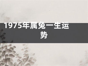1975年属兔一生运势