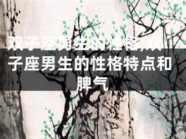 双子座男生的性格,双子座男生的性格特点和脾气