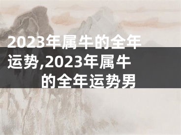 2023年属牛的全年运势,2023年属牛的全年运势男