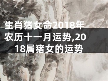 生肖猪女命2018年农历十一月运势,2018属猪女的运势