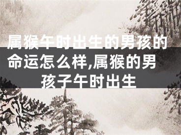 属猴午时出生的男孩的命运怎么样,属猴的男孩子午时出生