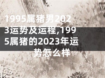 1995属猪男2023运势及运程,1995属猪的2023年运势怎么样