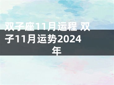 双子座11月运程 双子11月运势2024年