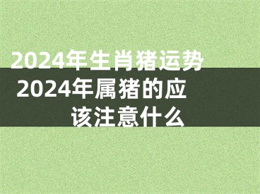 2024年生肖猪运势 2024年属猪的应该注意什么