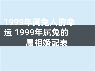1999年属兔人的命运 1999年属兔的属相婚配表