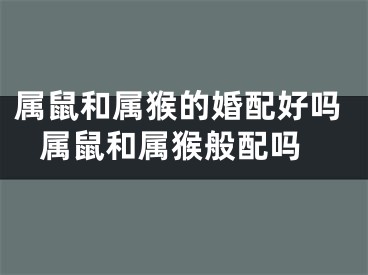 属鼠和属猴的婚配好吗 属鼠和属猴般配吗