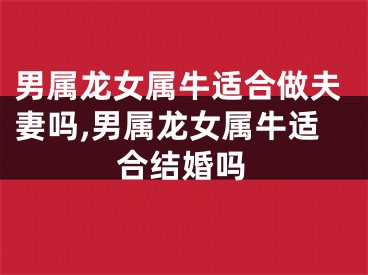 男属龙女属牛适合做夫妻吗,男属龙女属牛适合结婚吗