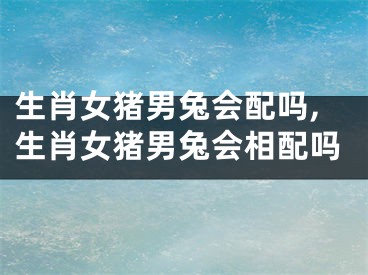 生肖女猪男兔会配吗,生肖女猪男兔会相配吗