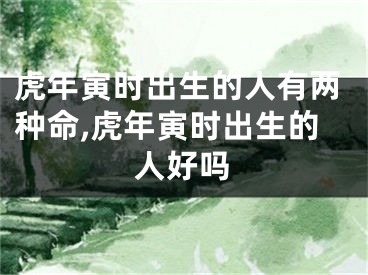 虎年寅时出生的人有两种命,虎年寅时出生的人好吗