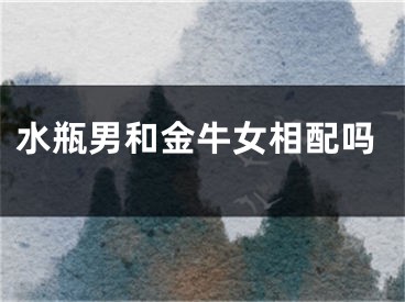 水瓶男和金牛女相配吗