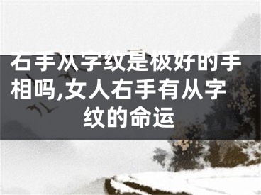 右手从字纹是极好的手相吗,女人右手有从字纹的命运