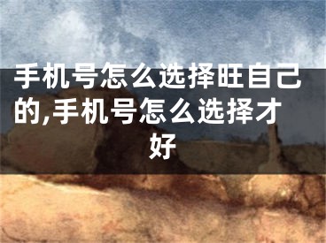 手机号怎么选择旺自己的,手机号怎么选择才好
