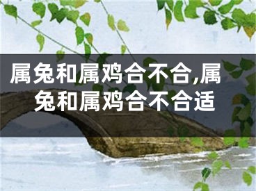 属兔和属鸡合不合,属兔和属鸡合不合适