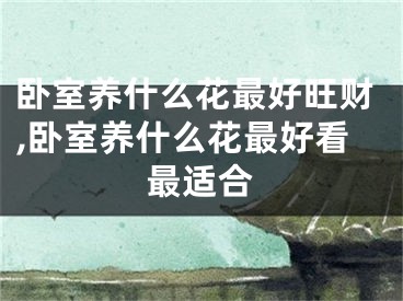 卧室养什么花最好旺财,卧室养什么花最好看最适合