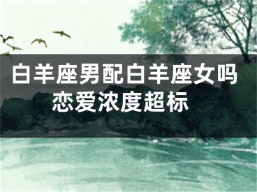 白羊座男配白羊座女吗 恋爱浓度超标