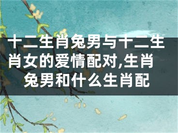 十二生肖兔男与十二生肖女的爱情配对,生肖兔男和什么生肖配