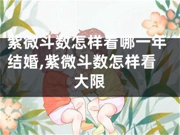 紫微斗数怎样看哪一年结婚,紫微斗数怎样看大限