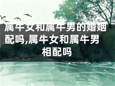 属牛女和属牛男的婚姻配吗,属牛女和属牛男相配吗