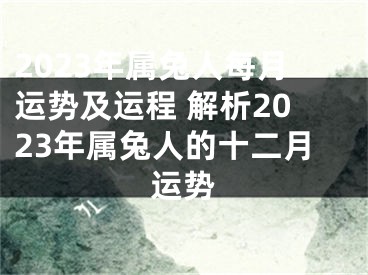 2023年属兔人每月运势及运程 解析2023年属兔人的十二月运势