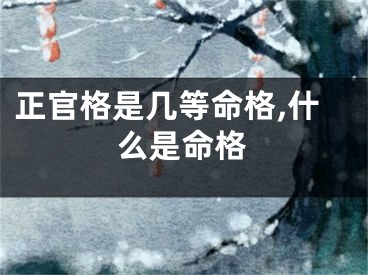 正官格是几等命格,什么是命格