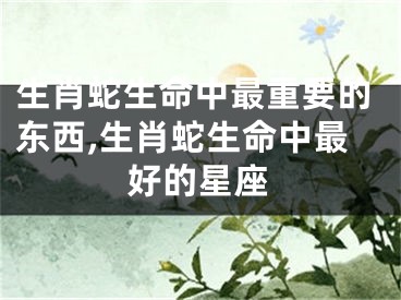 生肖蛇生命中最重要的东西,生肖蛇生命中最好的星座