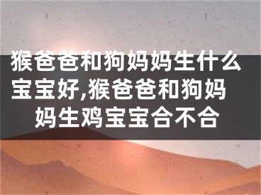猴爸爸和狗妈妈生什么宝宝好,猴爸爸和狗妈妈生鸡宝宝合不合