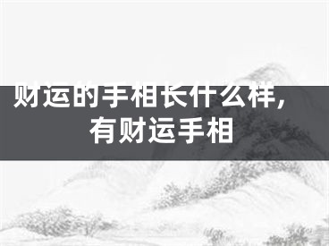 财运的手相长什么样,有财运手相