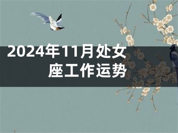 2024年11月处女座工作运势