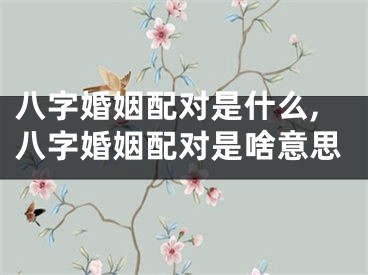 八字婚姻配对是什么,八字婚姻配对是啥意思
