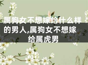 属狗女不想嫁给什么样的男人,属狗女不想嫁给属虎男