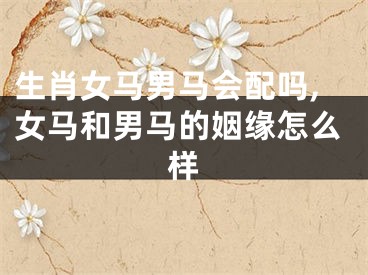 生肖女马男马会配吗,女马和男马的姻缘怎么样