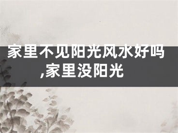 家里不见阳光风水好吗,家里没阳光