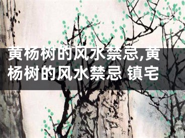 黄杨树的风水禁忌,黄杨树的风水禁忌 镇宅