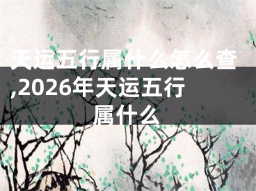 天运五行属什么怎么查,2026年天运五行属什么