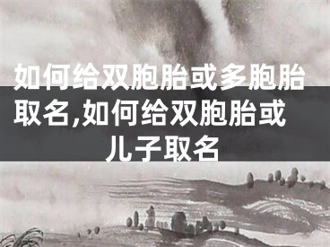 如何给双胞胎或多胞胎取名,如何给双胞胎或儿子取名