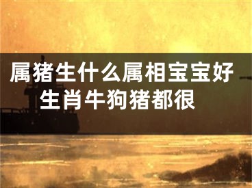 属猪生什么属相宝宝好 生肖牛狗猪都很