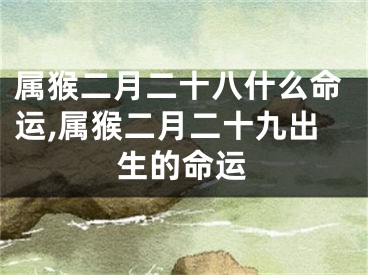 属猴二月二十八什么命运,属猴二月二十九出生的命运