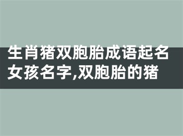 生肖猪双胞胎成语起名女孩名字,双胞胎的猪