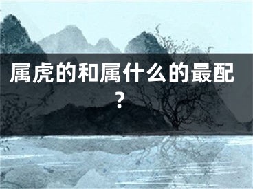 属虎的和属什么的最配?