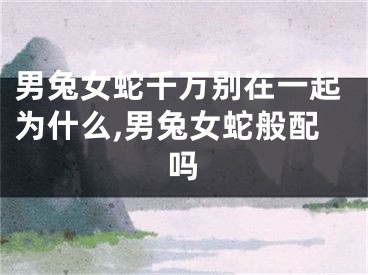 男兔女蛇千万别在一起为什么,男兔女蛇般配吗