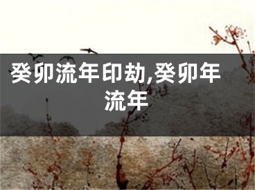 癸卯流年印劫,癸卯年流年