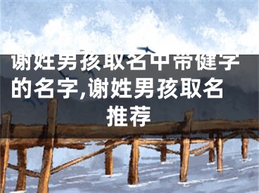 谢姓男孩取名中带健字的名字,谢姓男孩取名推荐