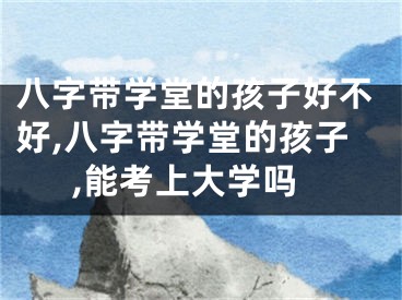 八字带学堂的孩子好不好,八字带学堂的孩子,能考上大学吗