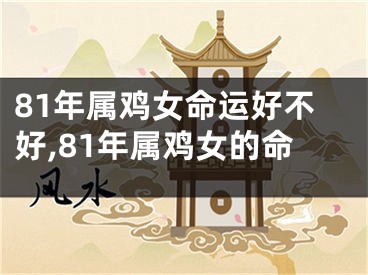 81年属鸡女命运好不好,81年属鸡女的命
