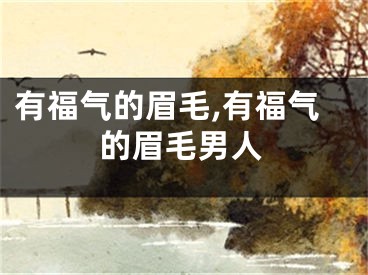 有福气的眉毛,有福气的眉毛男人